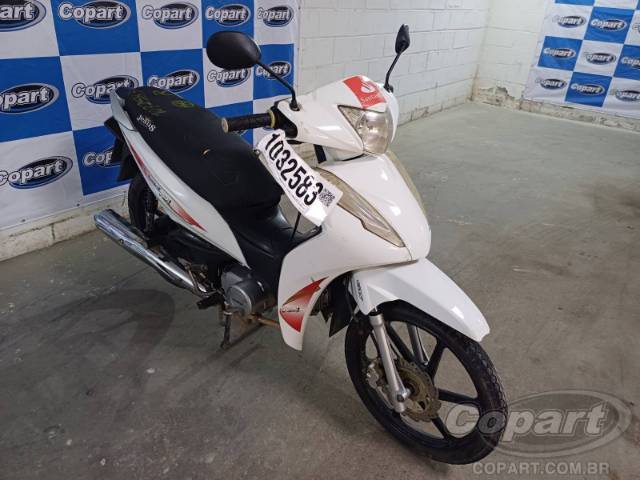 Aveloz 2021 AZ1 50