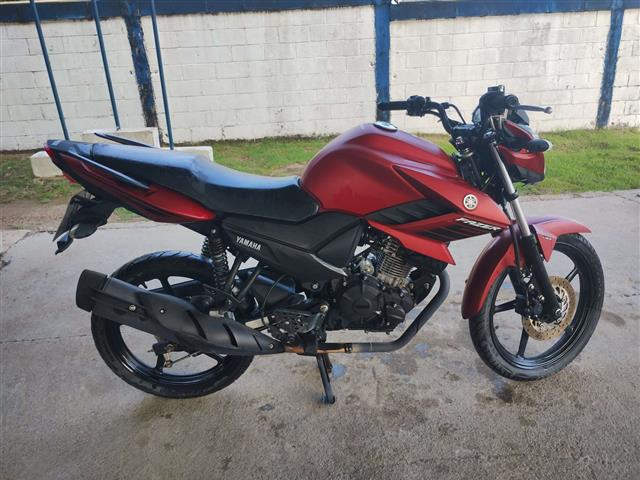 YAMAHA YS150 FAZER SED 2021 / 2022